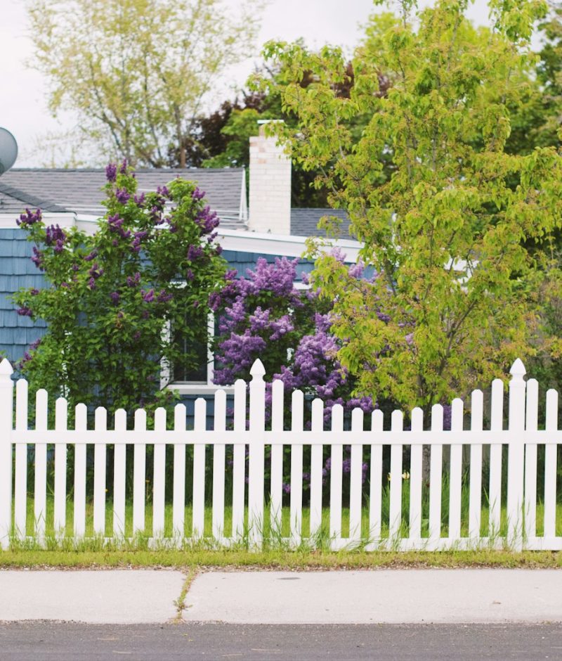 white wooden fence near green trees during daytime